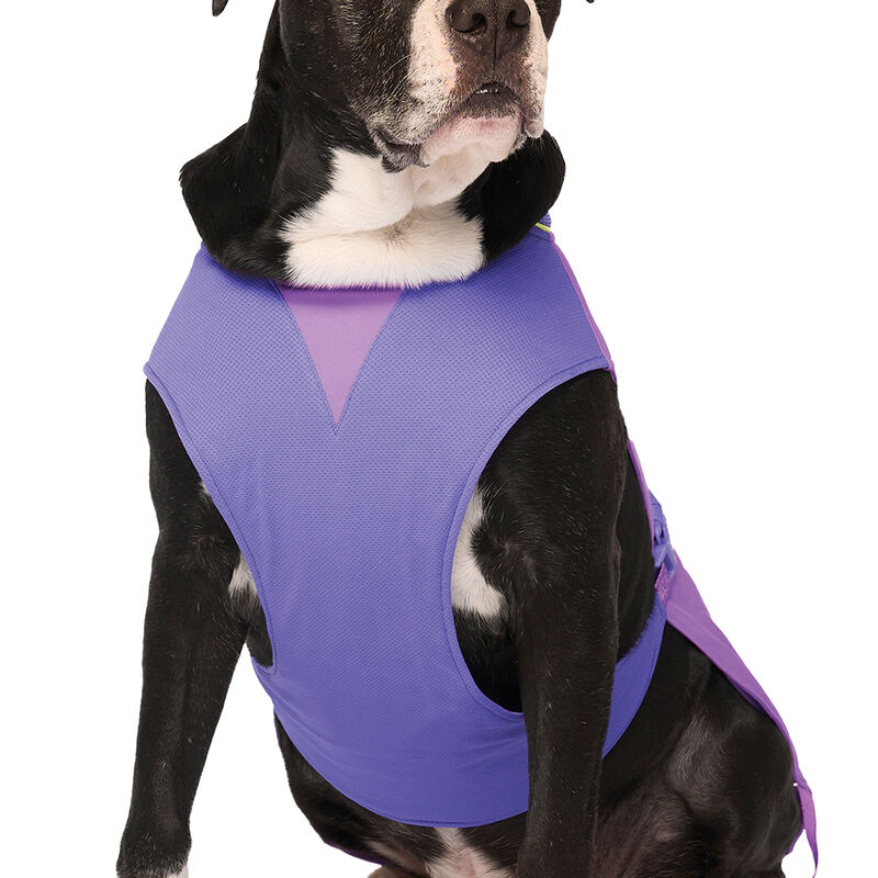 Canada Pooch, Max Chill Cooling Vest Purple image number null